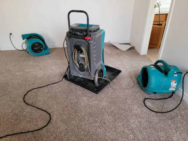 Best Ceiling water damage repair  in Depoe Bay, OR