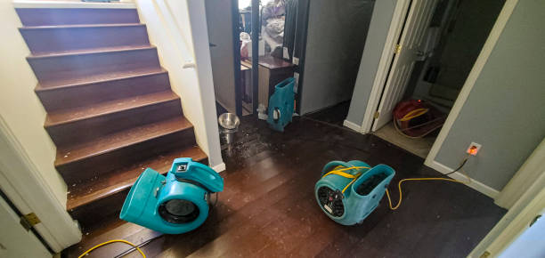 Best Professional water damage repair  in Depoe Bay, OR