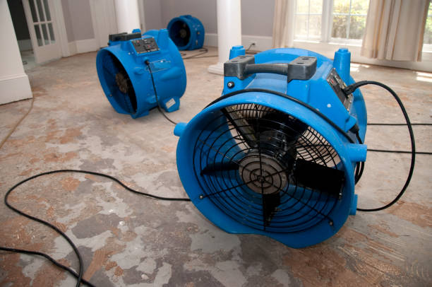 Best Professional water damage repair  in Depoe Bay, OR