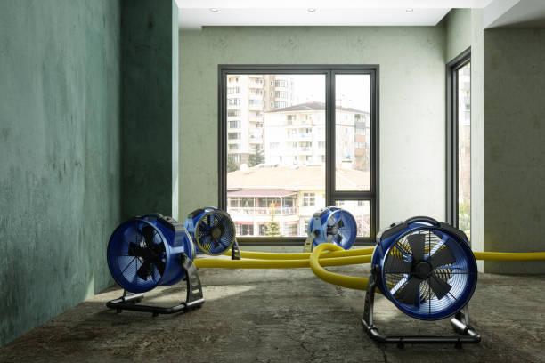 Best Basement water damage restoration  in Depoe Bay, OR