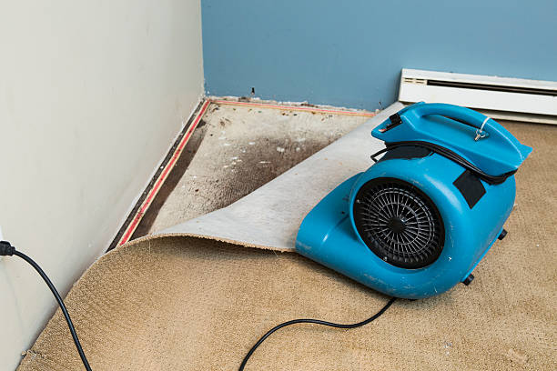 Best Sewage cleanup and water damage restoration  in Depoe Bay, OR